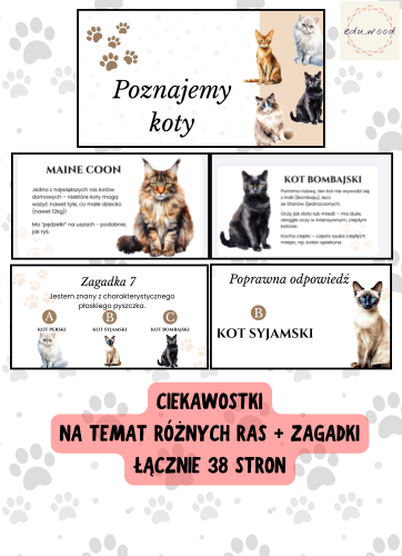 edu.wood koty ciekawostki.png