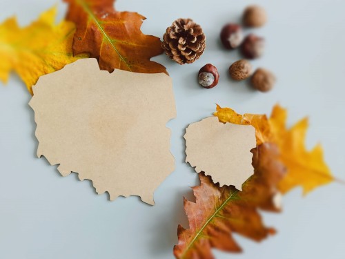 mapa Polski szablon drewniany do ozdabiania.jpg